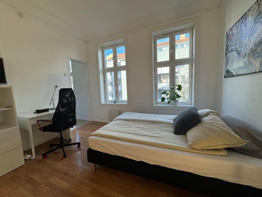 Fast Wifi Working Place Cozy Oslo