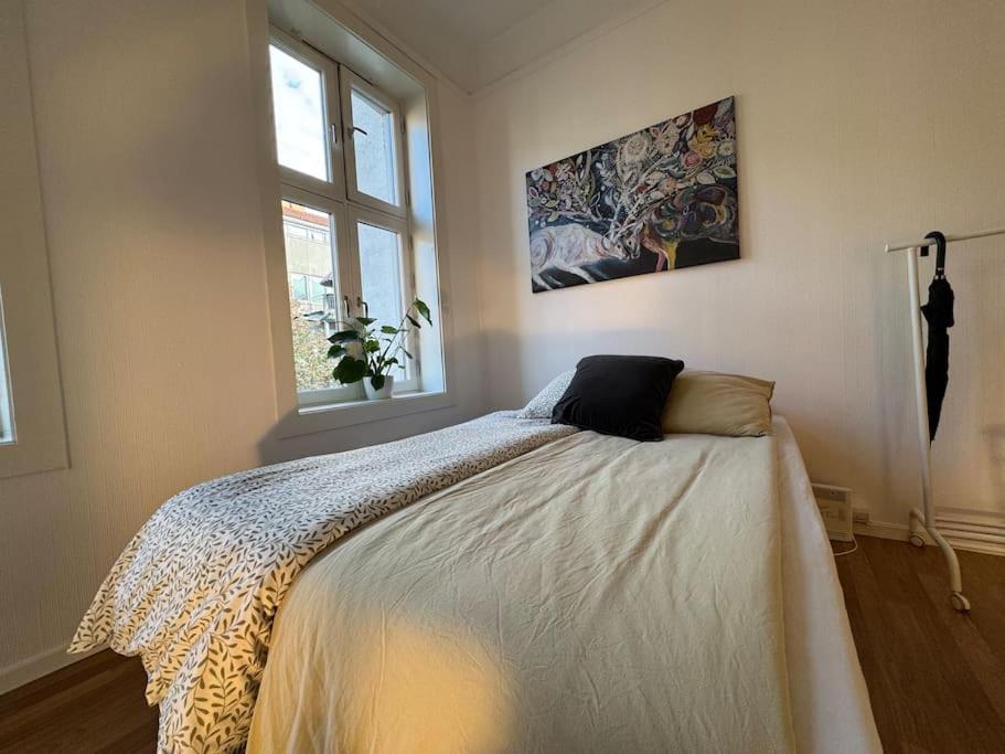Fast Wifi Working Place Cozy Oslo
