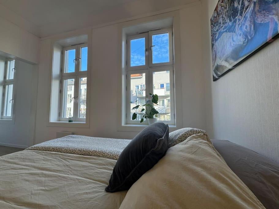Daire Fast Wifi Working Place Cozy Oslo