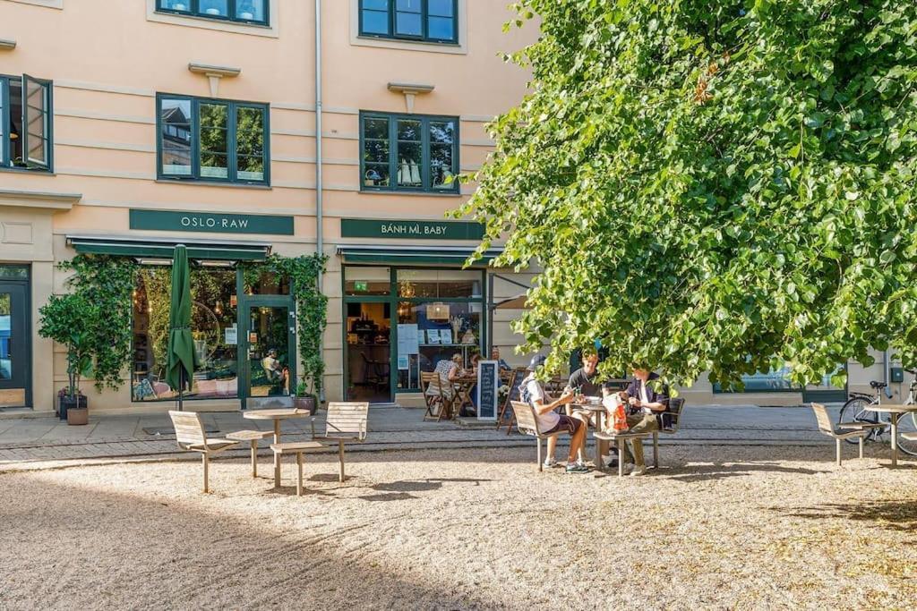 Apartment Summer Terrace Fast Wifi Deluxe Charming Oslo