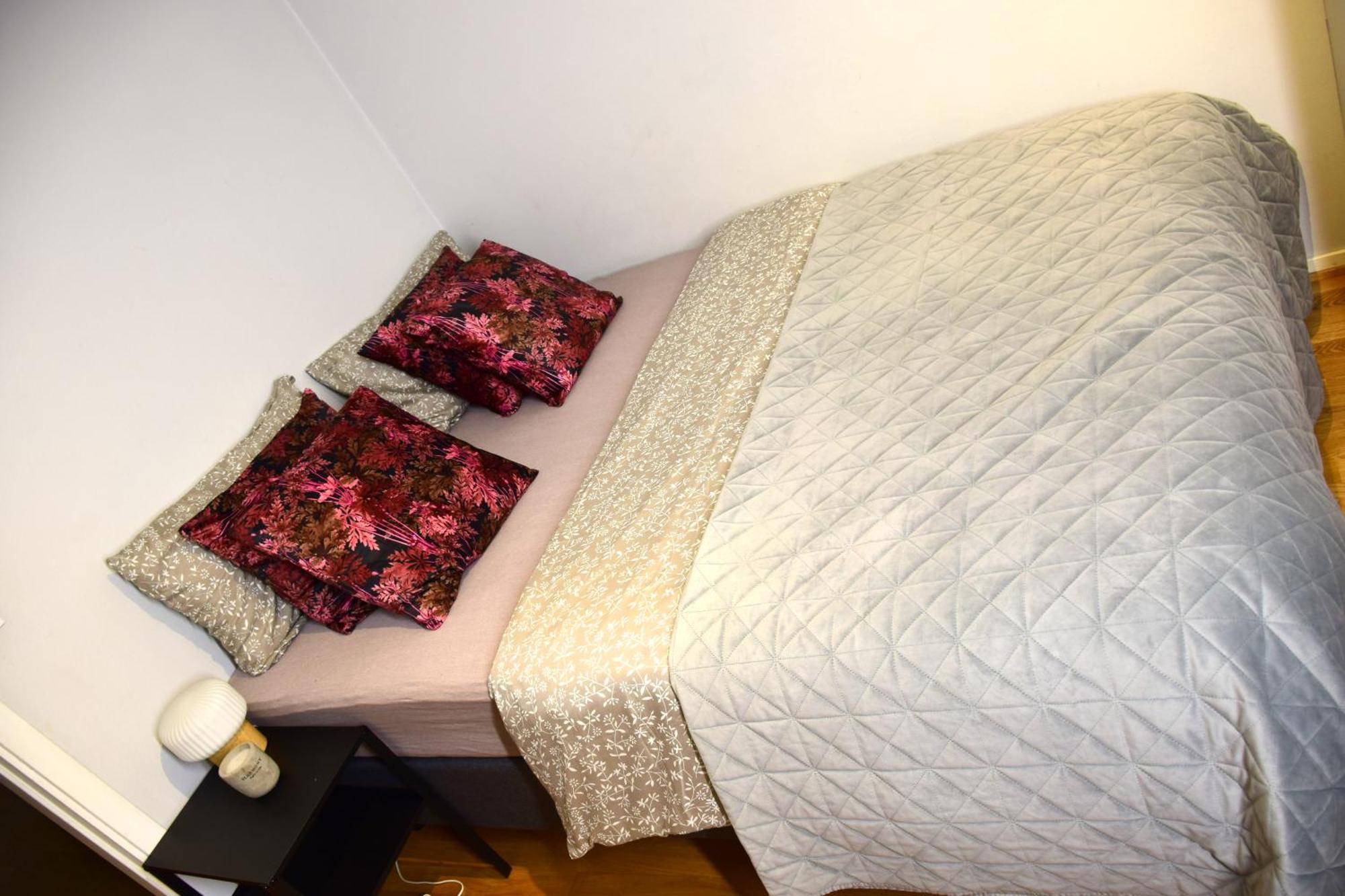 Apartment Nice And Cozy 2 Bedroom In Central Oslo