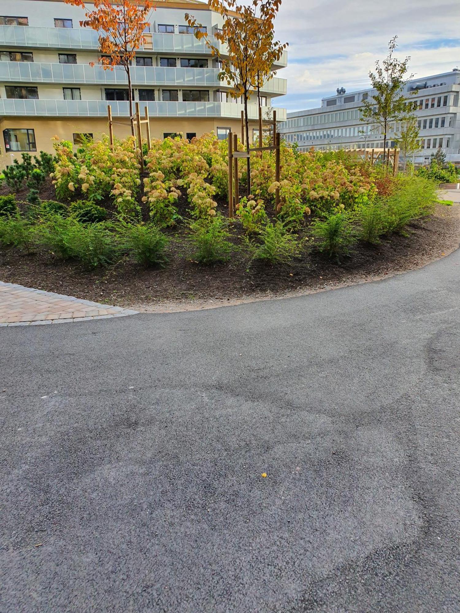Rum i privatbostad The Park Oslo