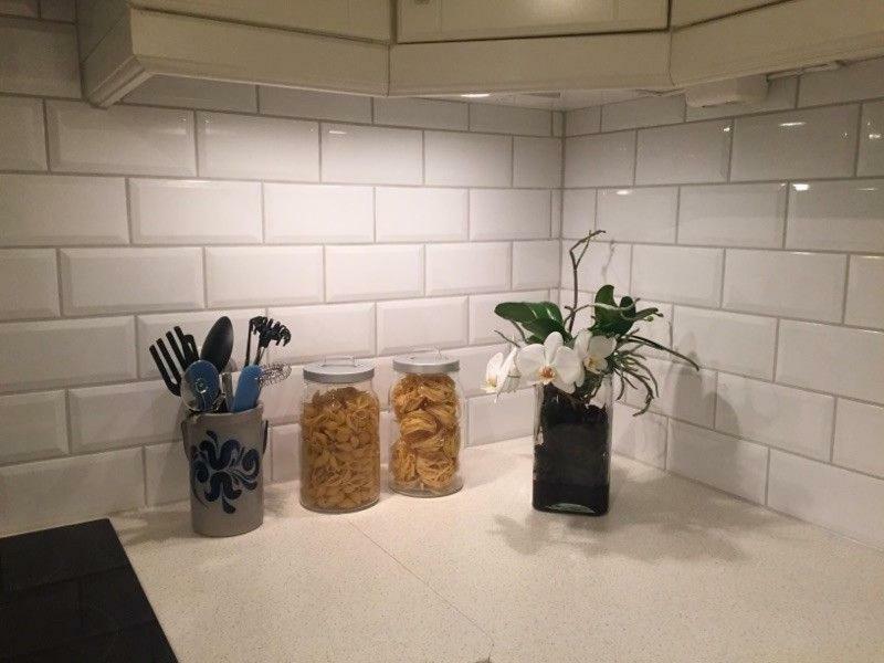 Cozy Basement Near Central Appartement *