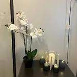 Eco Haven Central Suites