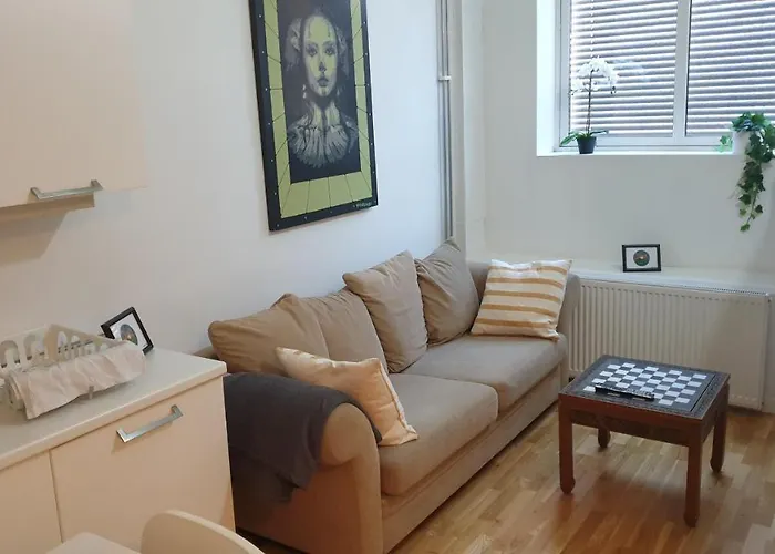 Cozy 1 Bedroom Apartment In Oslo Centrum