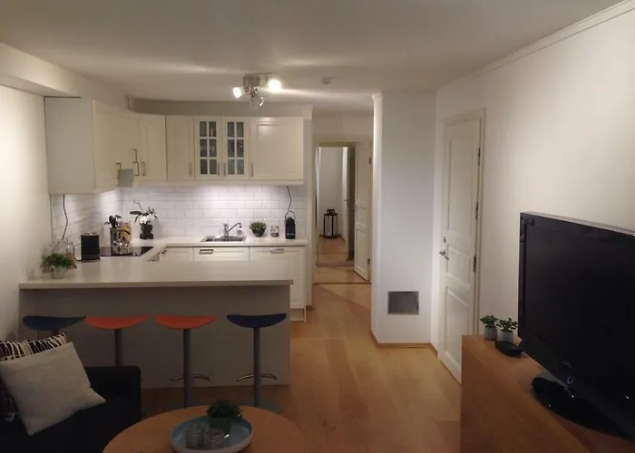 Cozy Basement Apartment Near Central Oslo