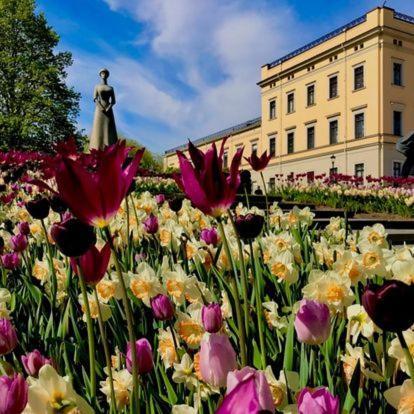New High Standard Next To The Royal Castle/harbor In Apartment Oslo