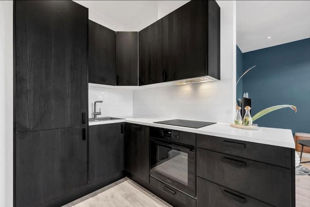 Newly Renovated - Downtown Apartment Oslo