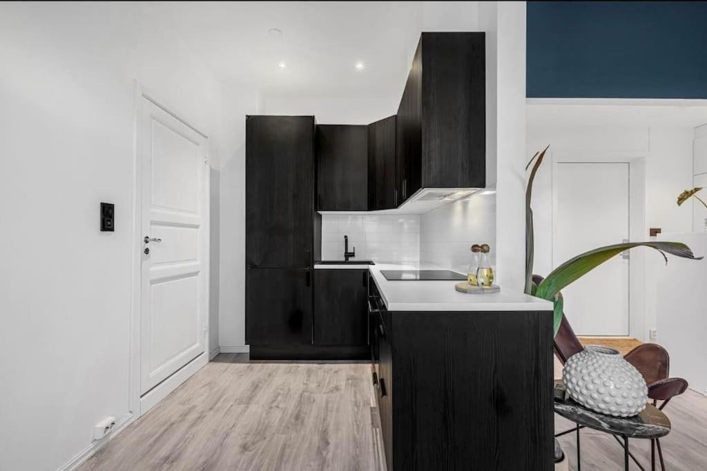 Newly Renovated - Downtown Apartment Oslo
