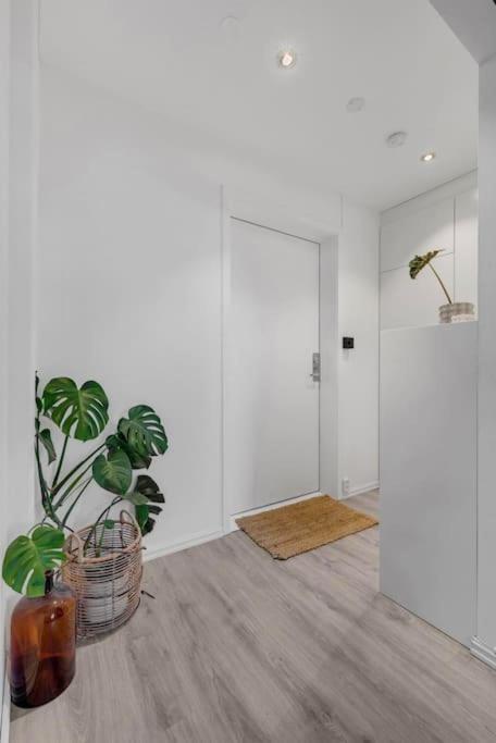 Newly Renovated - Downtown * Oslo