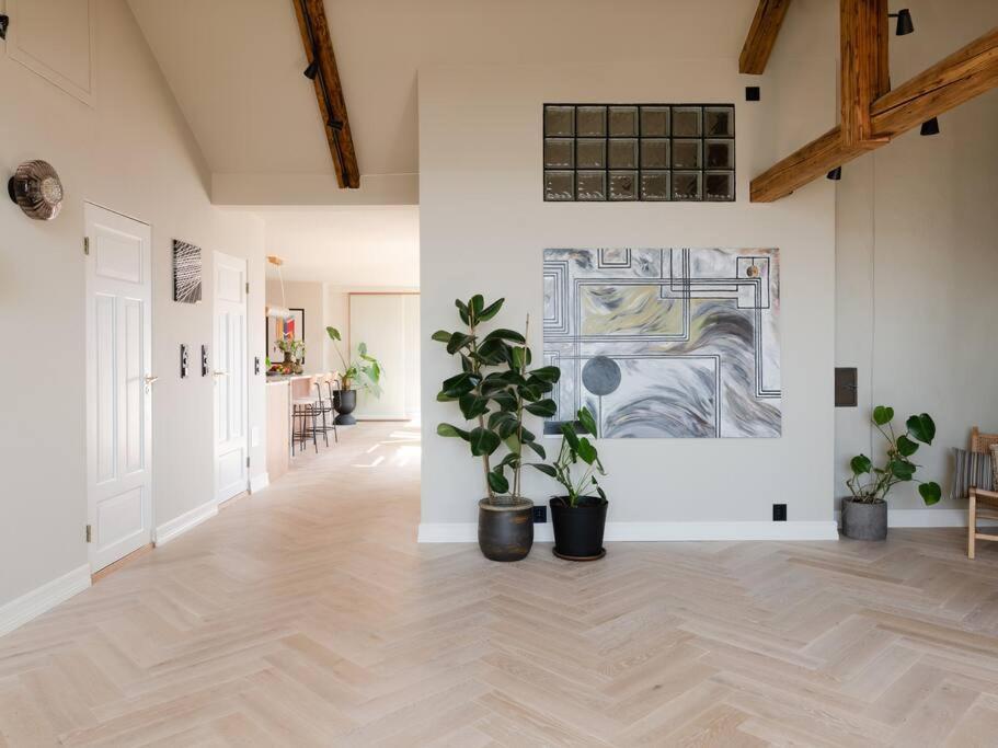 Apartment Rooftop Luxury