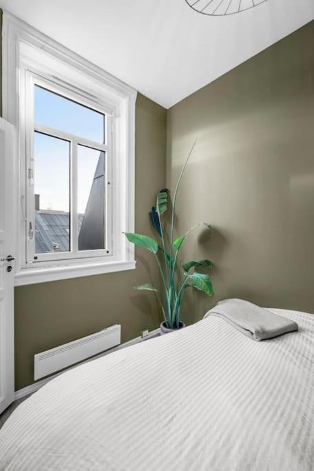 Newly Renovated - Downtown Apartment Oslo