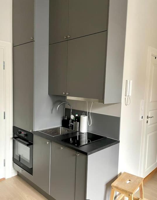 Modern And Cozy Studio In Central Apartment Oslo