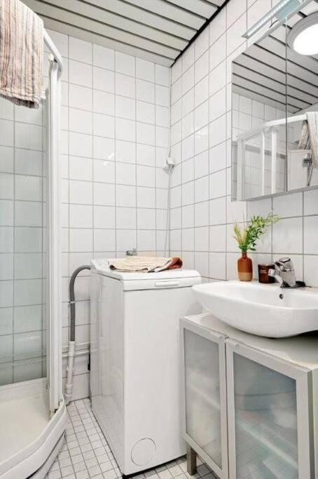 Apartment Praktisk 1-roms *
