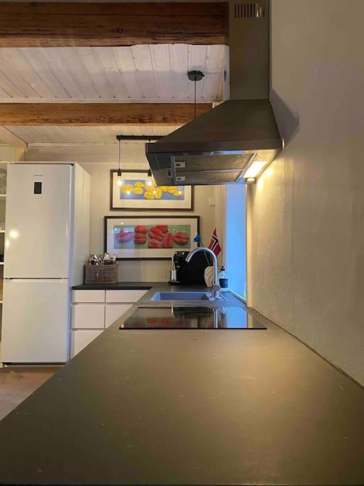 Villa Unique Experience In Oslo's Heart