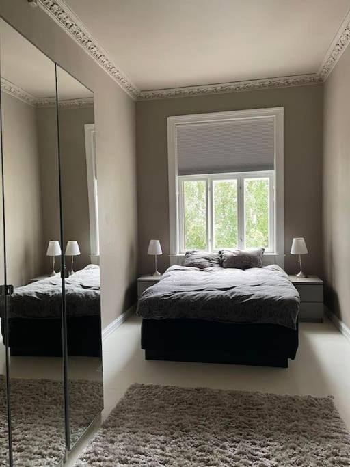 Luxurious By Royal Palace * Oslo
