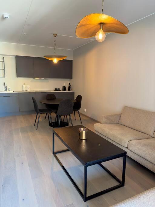 Apartment Moderne 3 Roms I Oslobukta! *
