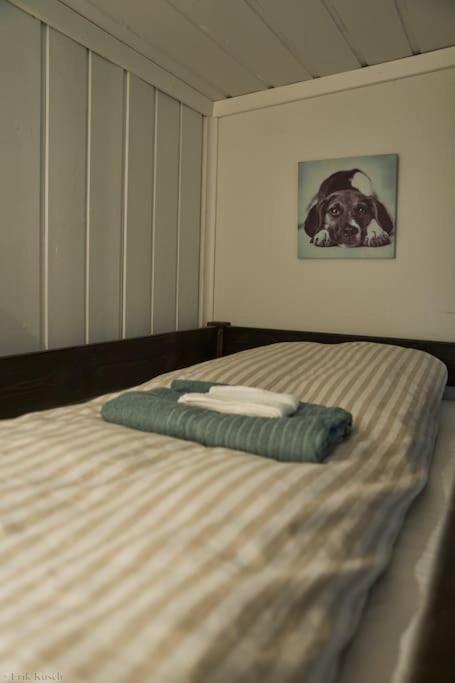 Koselig Pa Gardstun I Holiday home