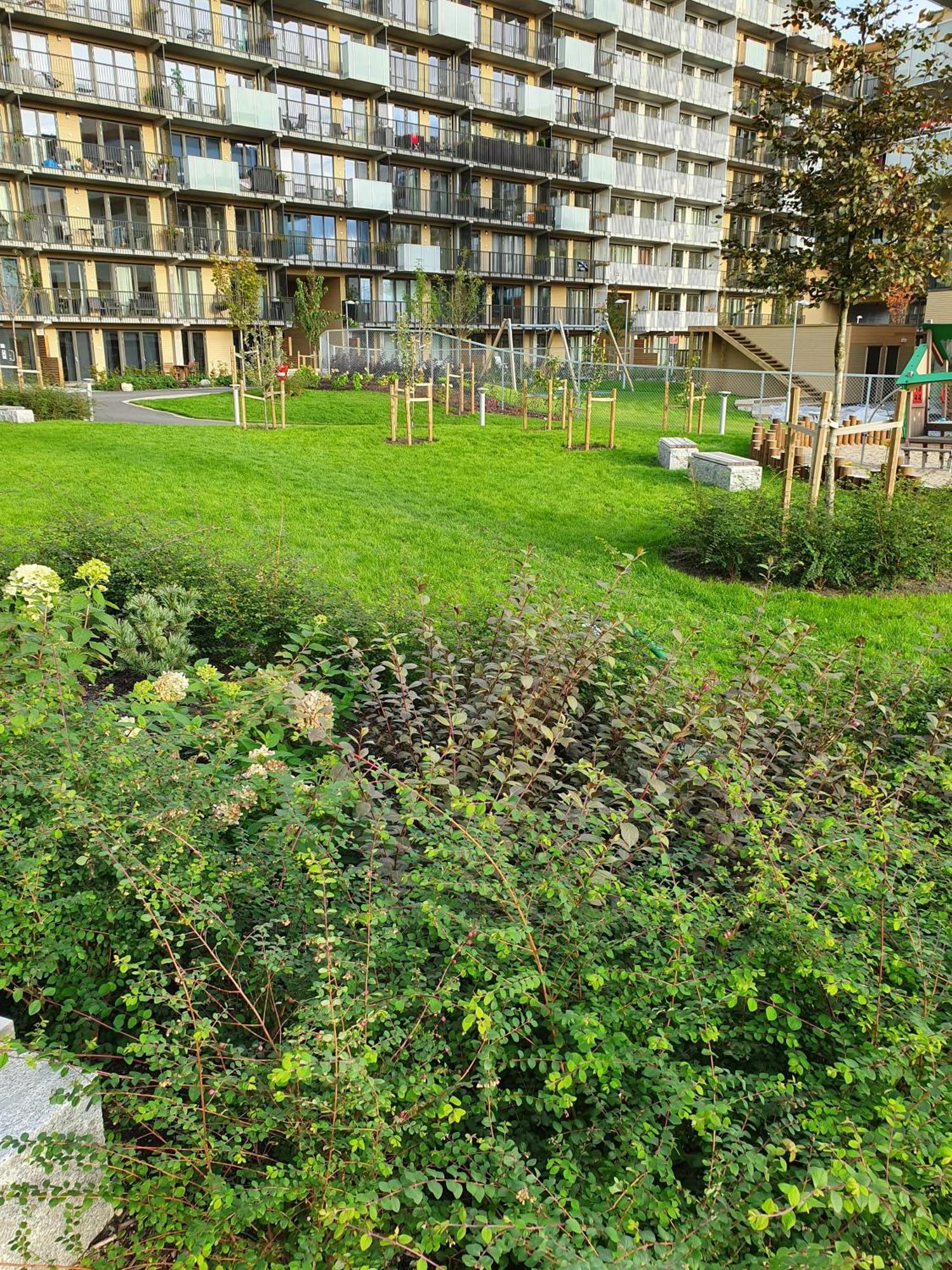 Accommodatie bij particulieren The Park *