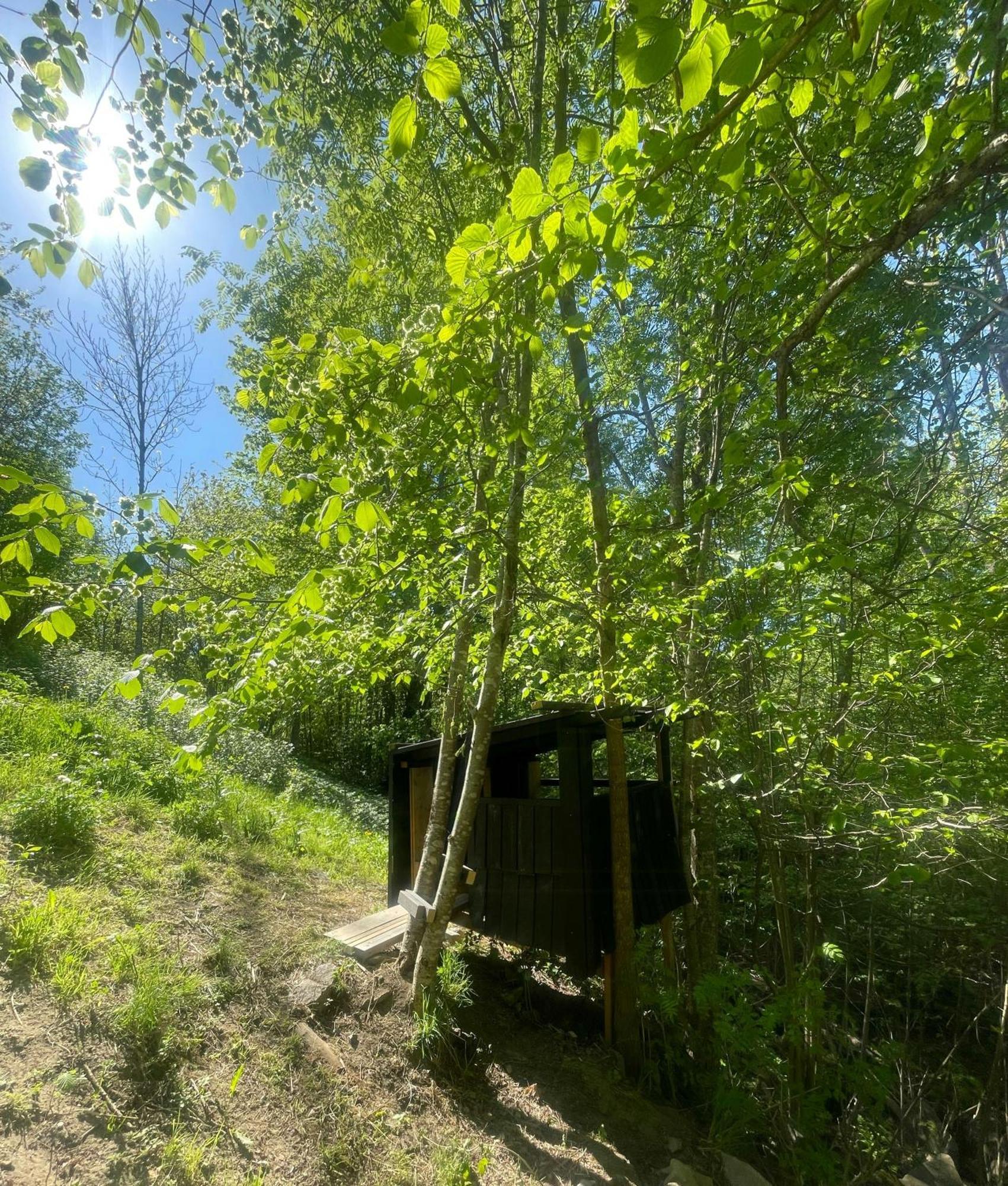 Perfect Location By The Forest Edge In Holiday home Oslo