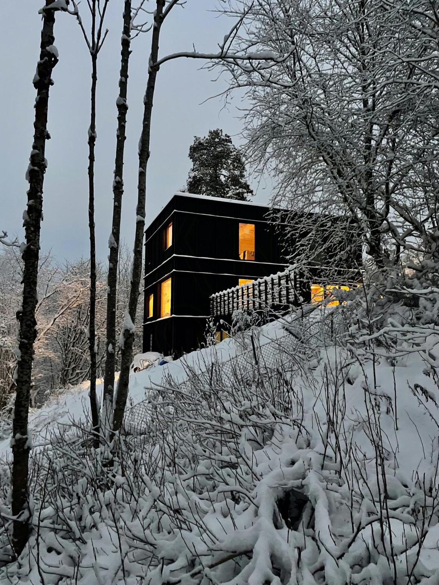 Perfect Location By The Forest Edge In Oslo