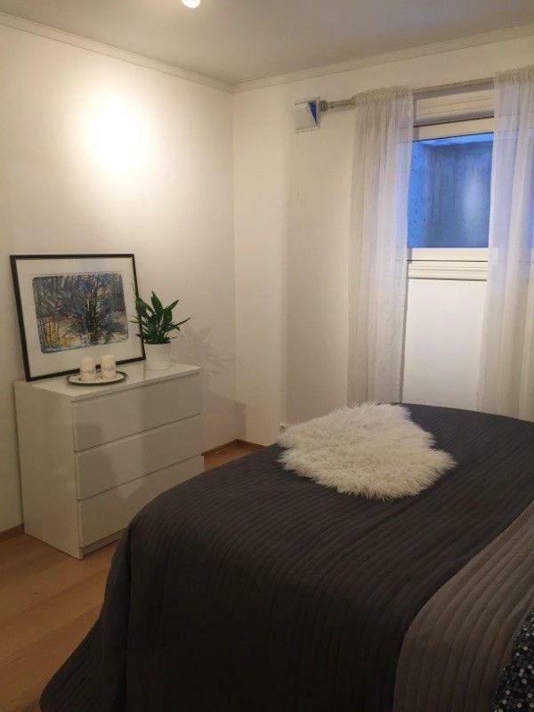 Cozy Basement Near Central Oslo