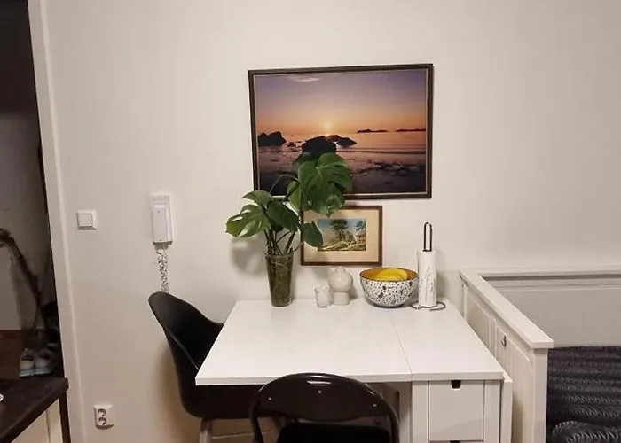 Studio Apartment 10Mins From Oslo Cent. Station.