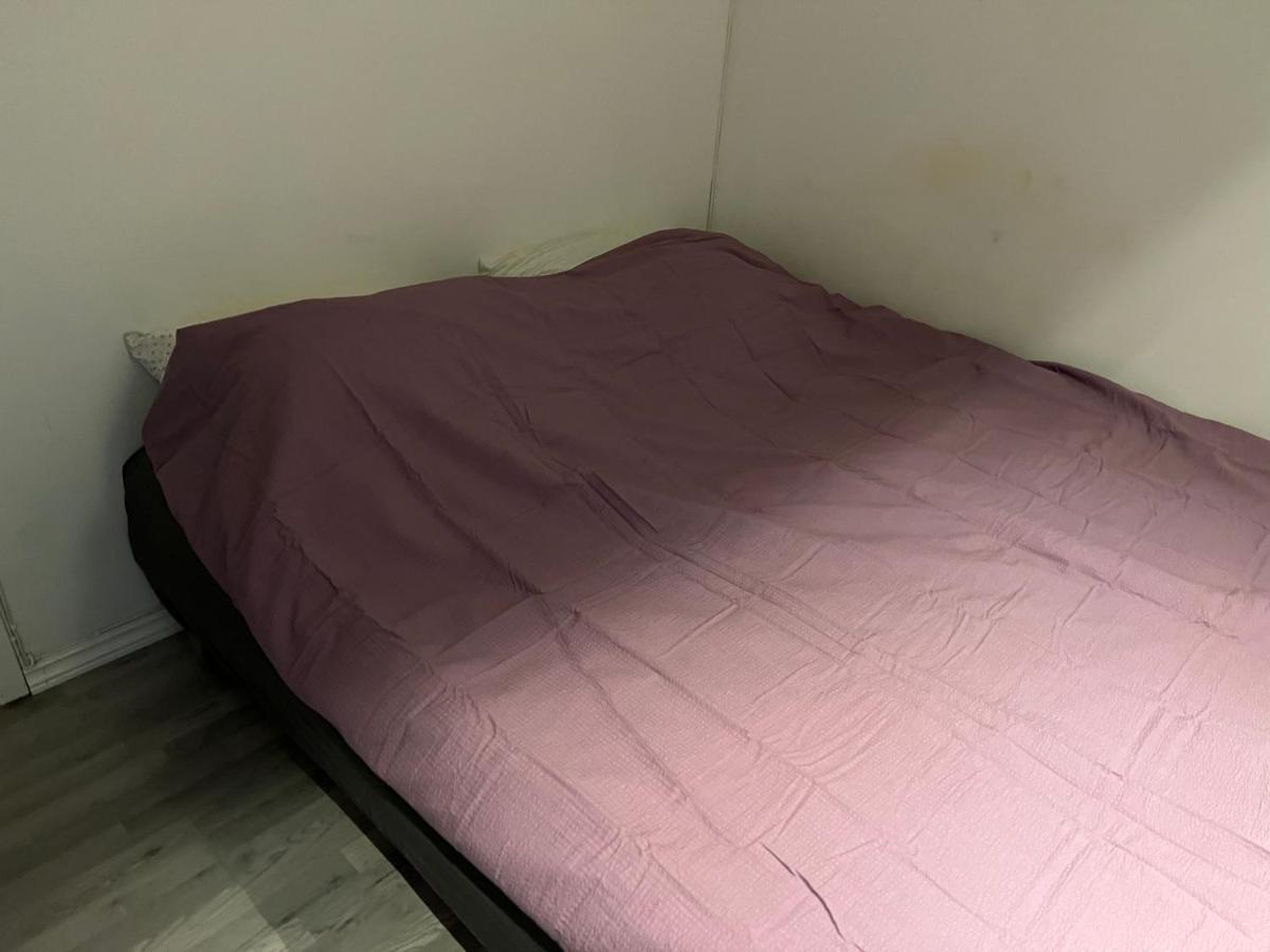Skillebekk Empty Nest Homestay Oslo