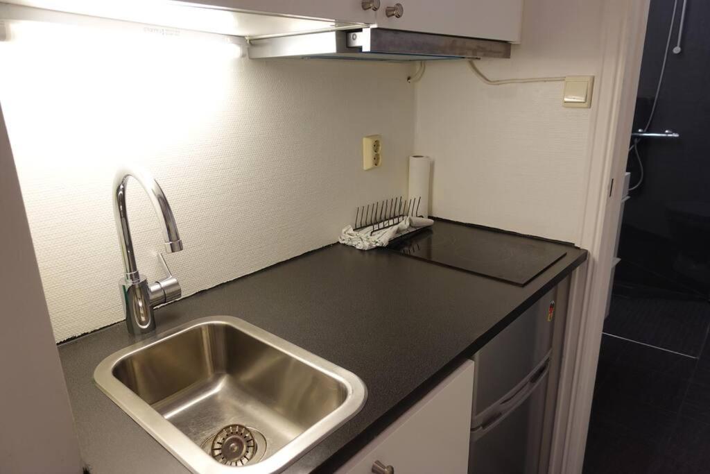 Apartment Just Behind The Royal Palace Oslo