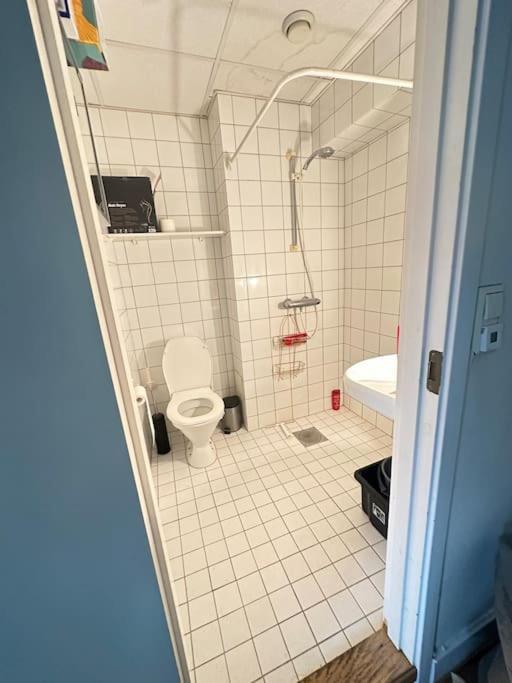 Apartment Cozy By Royal Palace Oslo