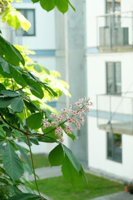 Căn hộ Nydelig Leilighet Med Klassiske Detaljer