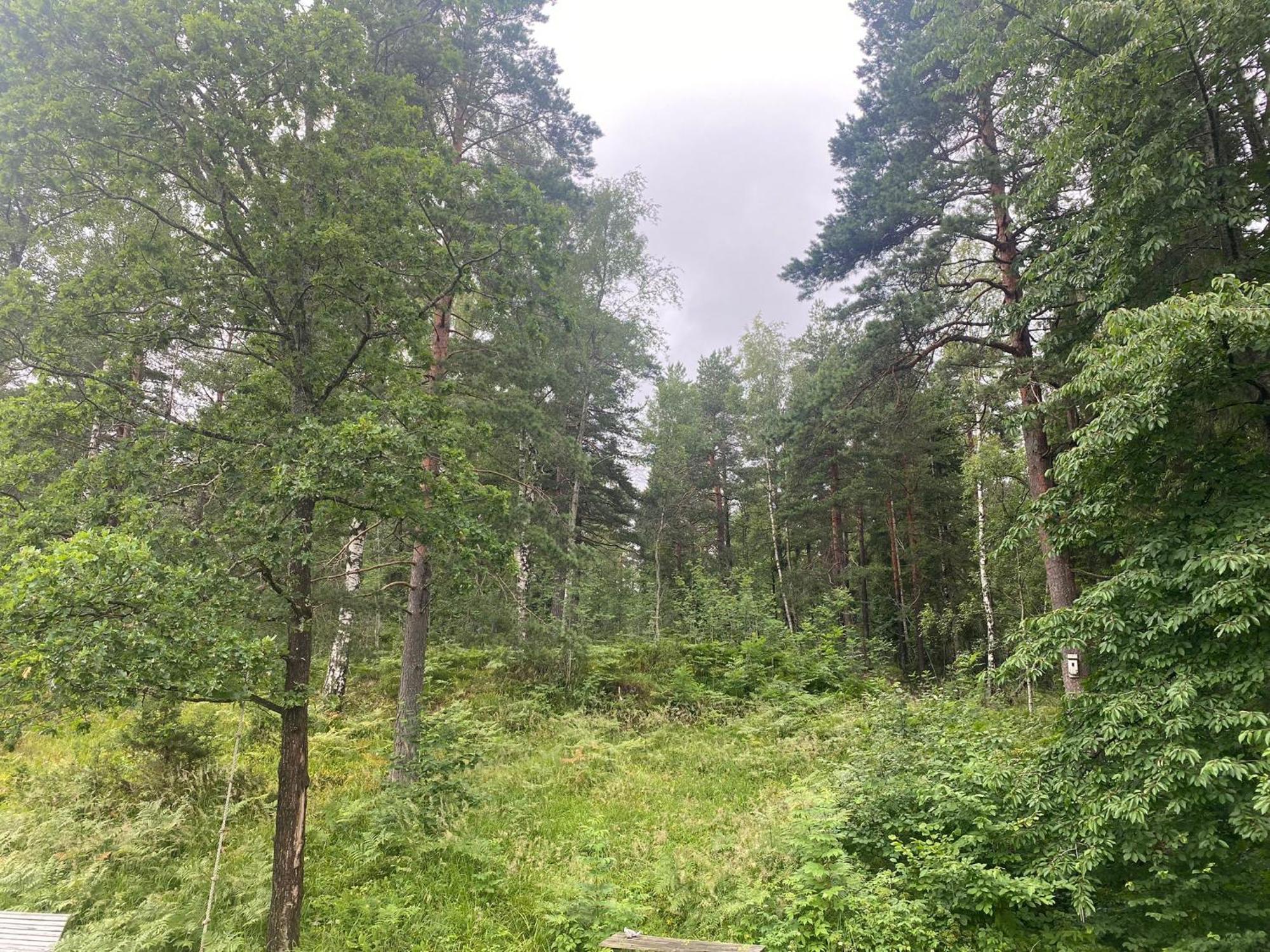West - Near To Holmenkollen