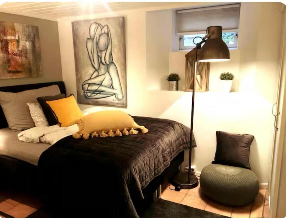 Vakker, Svaert Sentral Med 3 Soverom Oslo