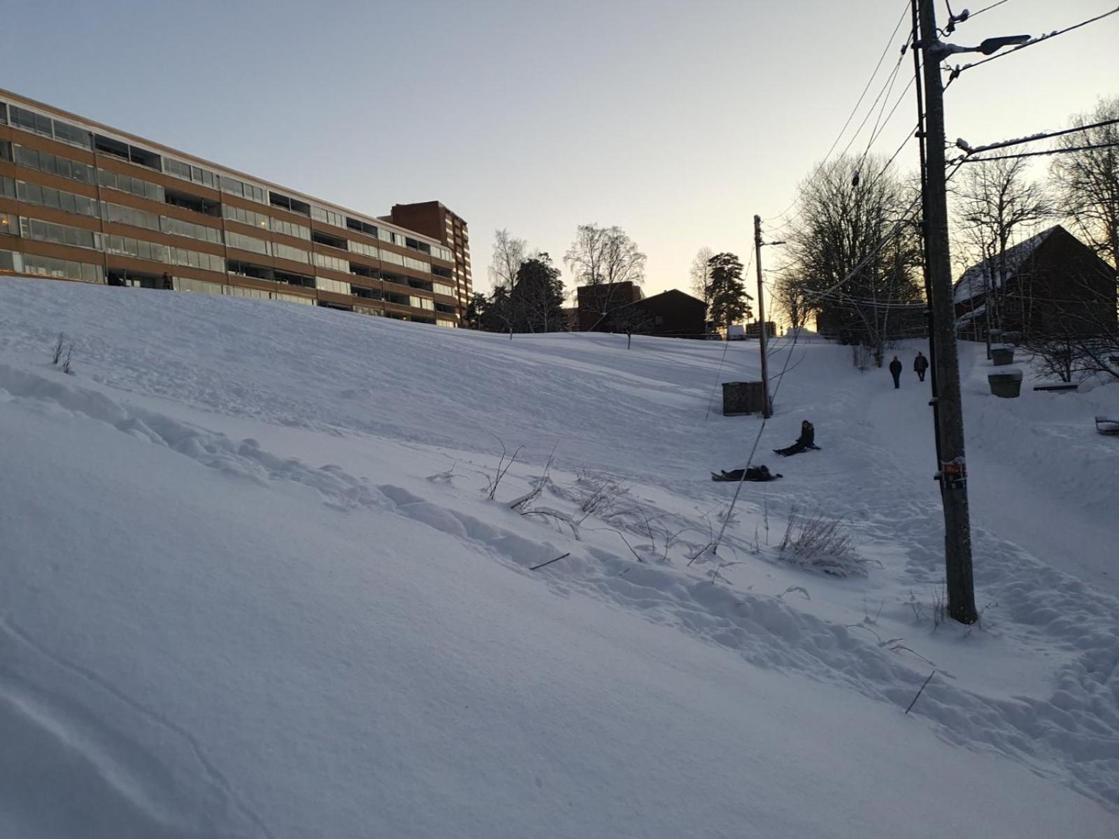 Apartment Leilighet+hage