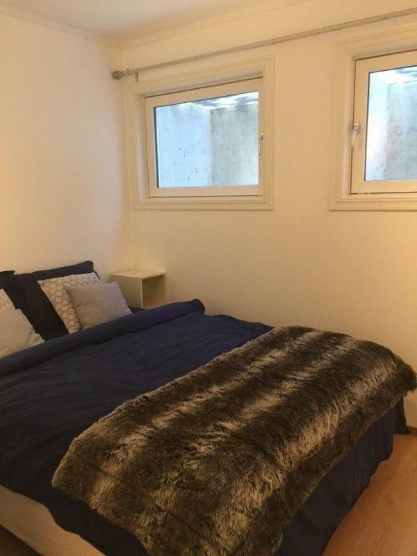 Cozy Basement Near Central Appartement *